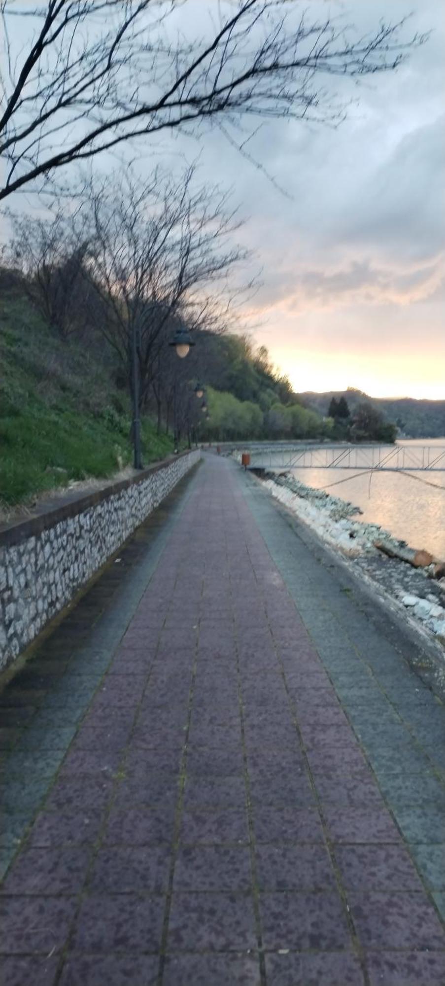 Sobe Lara * Donji Milanovac